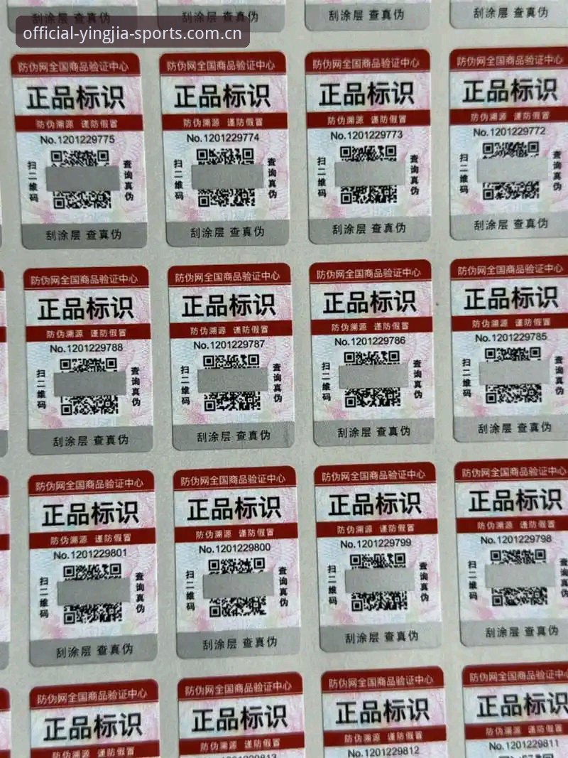盈嘉体育官网下载iOS版全面评测：新手必看的安装与真伪辨别指南