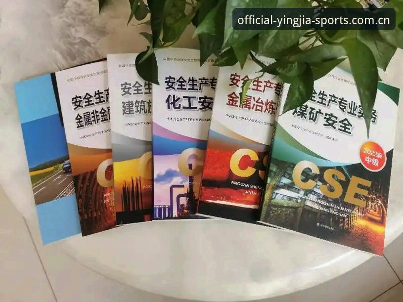盈嘉体育官网入口深度分析：2024年用户安全访问全面解析